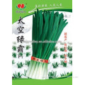 Logging Resistance Chinese Chives Seeds Leek Seeds For Growing Plant Height 65-70cm-Space Green Lord F1